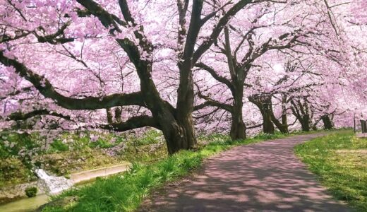 下のソーシャルリンクからフォロー